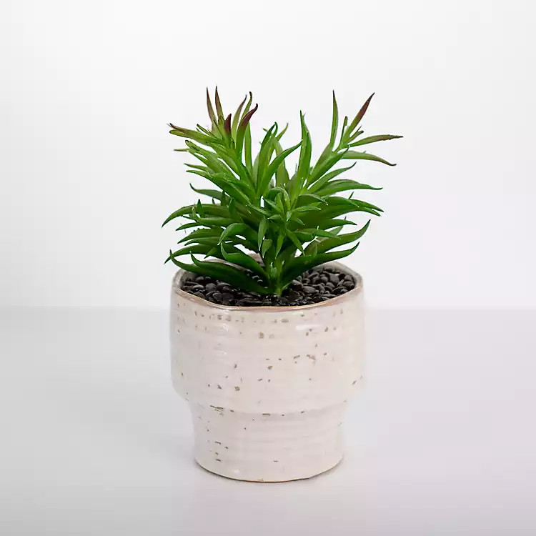 Succulent in Ribbed White Planter | Kirkland's Home