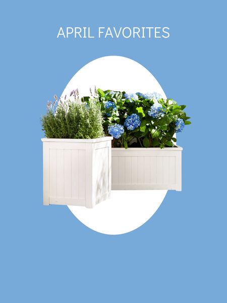 These new white planters are so pretty!

#LTKstyletip #LTKhome #LTKsalealert