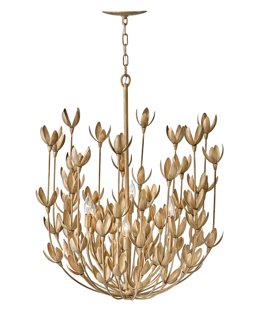 Lisa McDennon by Hinkley Flora Six-Light Multi-Tier Handmade Chandelier by Lisa McDennon & Review... | Wayfair North America