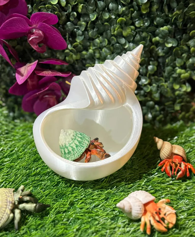 Shell Hide & Moss Pit – Cozy, Beachy Comfort for Your Hermit Crabs - Etsy | Etsy (US)