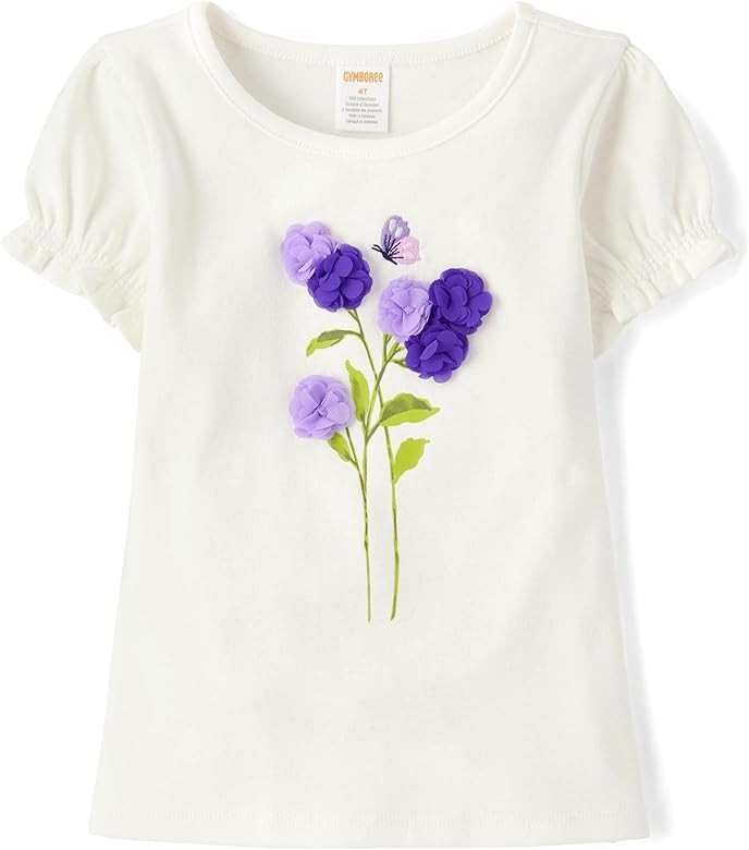 Gymboree Girls' and Toddler Embroidered Graphic Short Sleeve T-Shirts | Amazon (US)