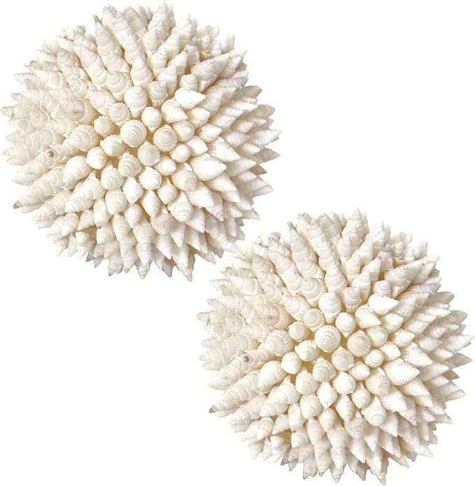 2 Pcs 4 Inch White Sea Shells Balls Nautical Handmade Home Wedding Dining Table Beach Decor | Amazon (US)