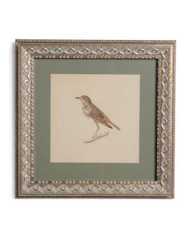 12x12 Matted To 6.5x6.5 Bird Wall Art | TJ Maxx
