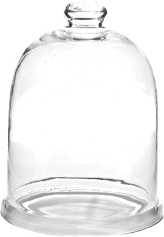 Park Designs Glass Bell Cloche 9.5", Clear | Amazon (US)