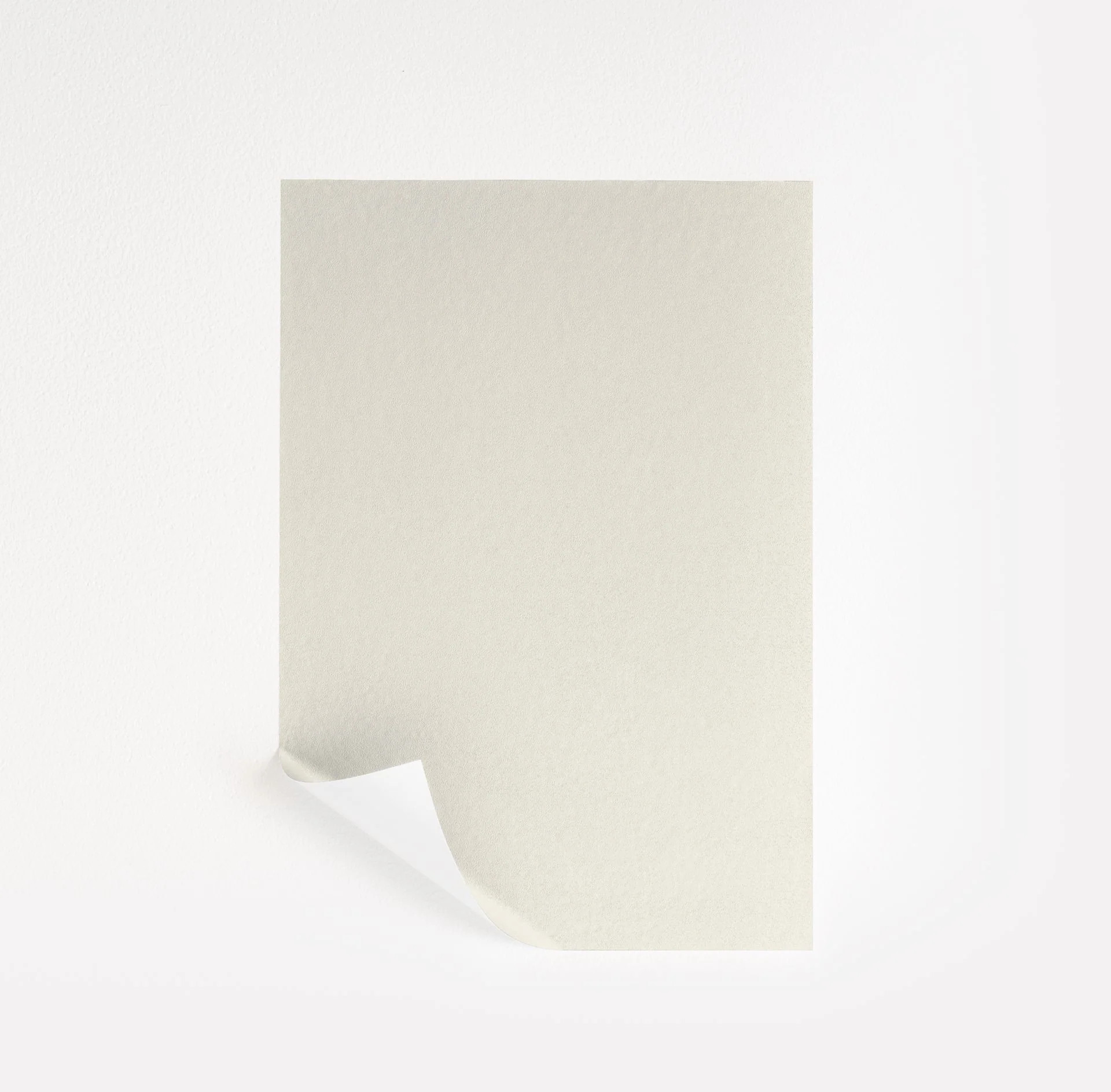 White Flour Paint Sample by Sherwin-Williams (7102) | Peel & Stick Paint Sample | Samplize