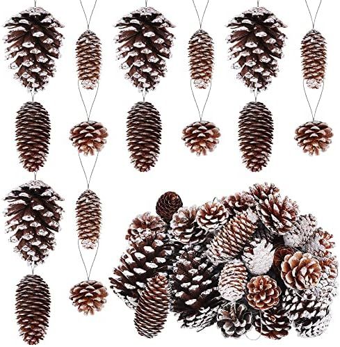 Amazon.com: Fovths 42 Pieces Christmas Snow White Pine Cones Ornaments Natural Rustic Pine Cones ... | Amazon (US)