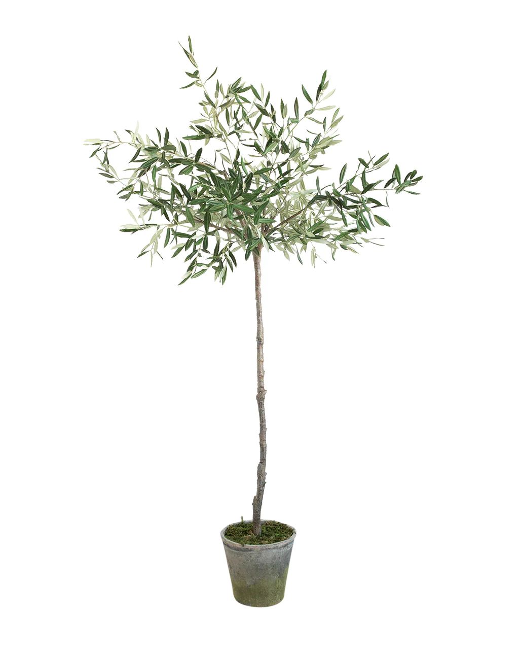 Faux Potted Olive Tree | McGee & Co.