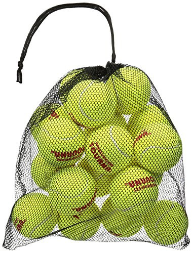 Tourna Mesh Carry Bag of 18 Tennis Balls | Amazon (US)