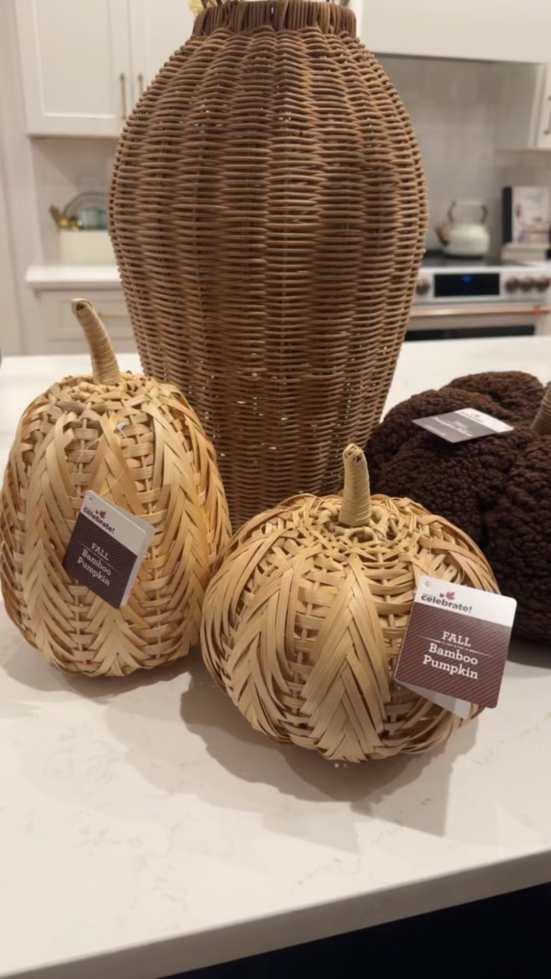 How awesome are these pumpkins from Walmart? Also the rattan base and stems from at home store. 

#LTKSeasonal #LTKHome #LTKFindsUnder50