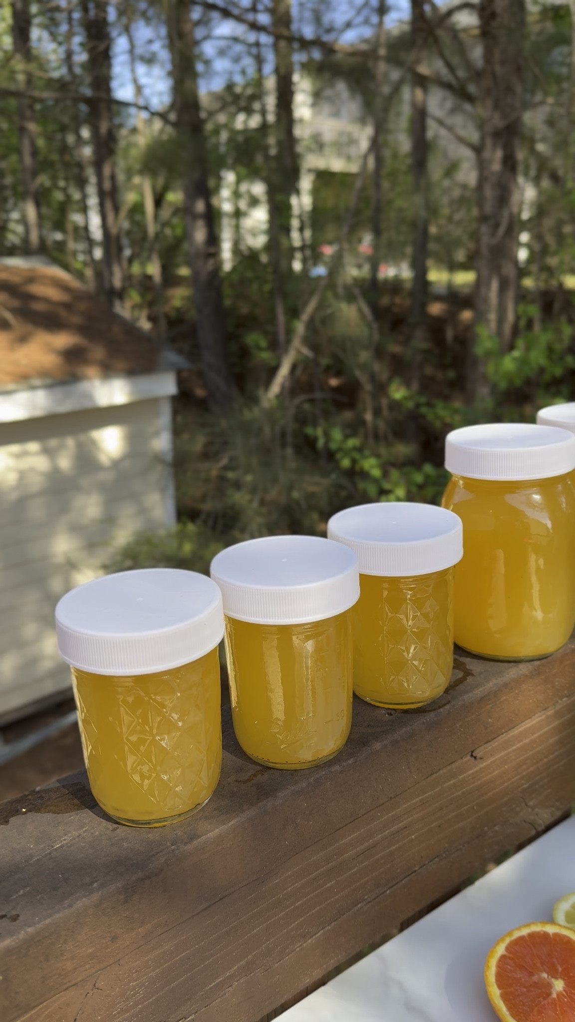 If you are looking for the perfect Mother’s Day gift, get mom a juicer. It is thoughtful, practical, and something she will truly appreciate. Starting the day with fresh juice just hits different.

You can shop my favorite juicer on my LTK.

#ShoppingWithPriiincesss #MothersDayIdeas #JuicingLife #HealthyLiving #MomEssentials #WellnessJourney #GiftForMom #SelfCareRoutine #JuiceDaily #HealthyHabits #MomLifeStyle #WellnessGift #LifestyleEssentials #AtlantaMom #Atlantamom #Atlantabloggers #Atlantablogger #AtlantaCreator #Atlantacontentcreators #Atlantacontentcreator

#LTKselfcare #LTKfoodie #LTKHome