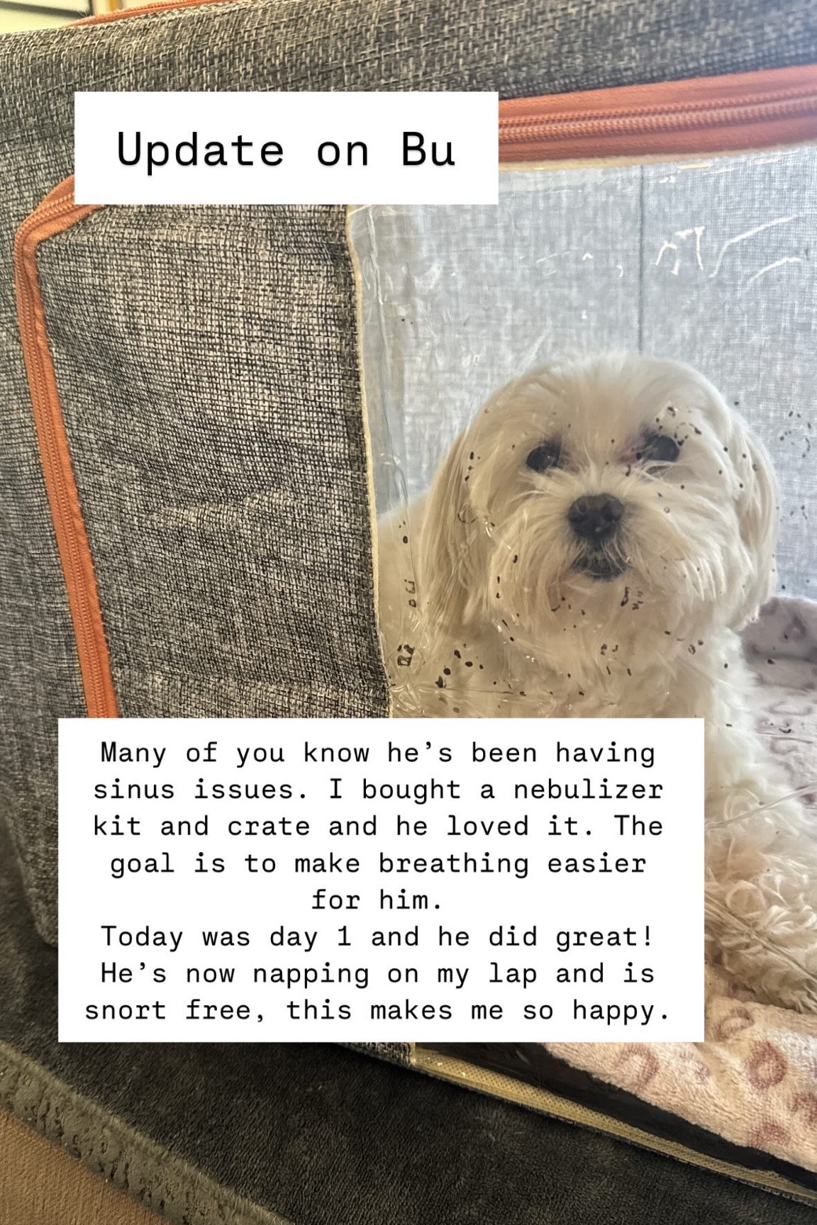 Here are the items I bought that I use with the kit. I bought the nebulization crate, the nebulization machine, and the solution that you use with it. I used it yesterday and he did really good and sounded so much better.
