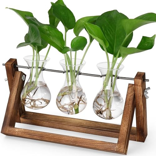 YIBOT Propagation Stations,Plant Terrarium with Retro Wooden Stand, Unique Gardening Birthday Gifts for Women Plant Lovers, Hydroponics Plants Home Office Garden Decor - 3 Bulb Glass Vases | Amazon (US)