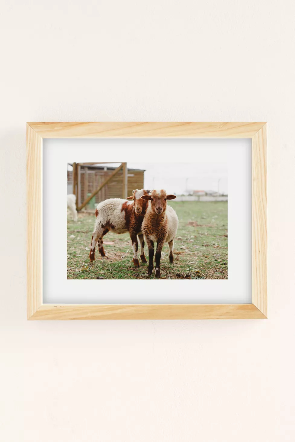 Hello Twiggs Counting Sheep Art Print | Urban Outfitters (US and RoW)