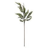 Creative Co-Op 45" H Faux Cedar Branch | Amazon (US)