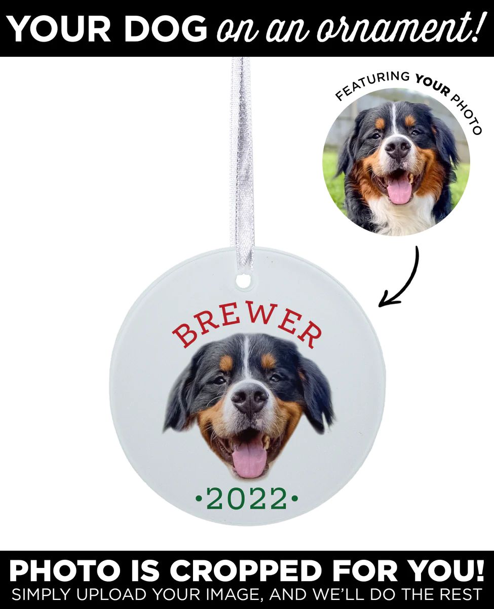 Personalized Pet Ornament | Type League Press