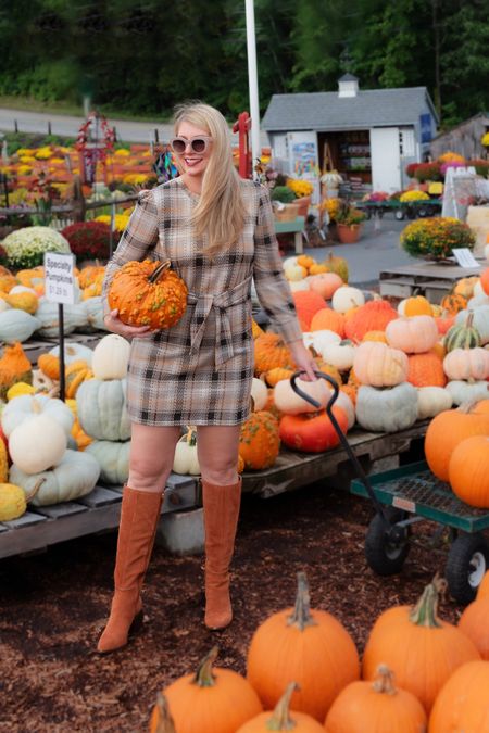 The cutest plaid fall dress that is soft like a sweatshirt! Linking this plaid tie waist dress, suede boots, and sunglasses

#LTKSeasonal #LTKmidsize #LTKover40