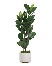 4ft Rubber Tree White Matte Pot | TJ Maxx