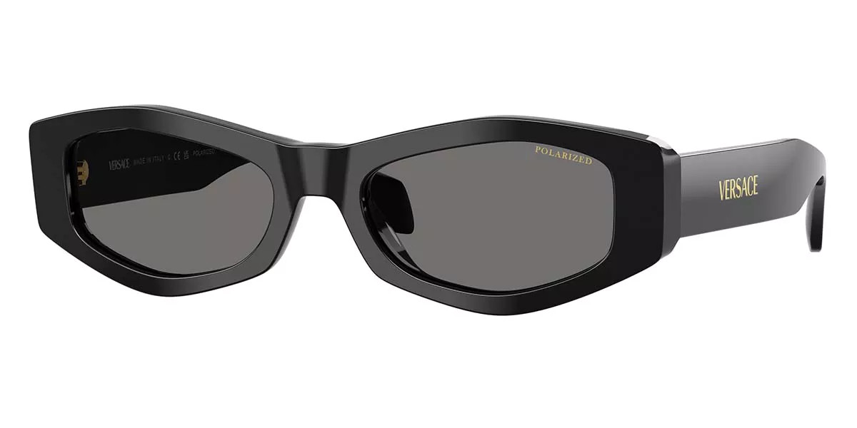 Versace VE4487 Polarized GB1/81 Women’s Sunglasses Black Size 54 | SmartBuyGlasses Global