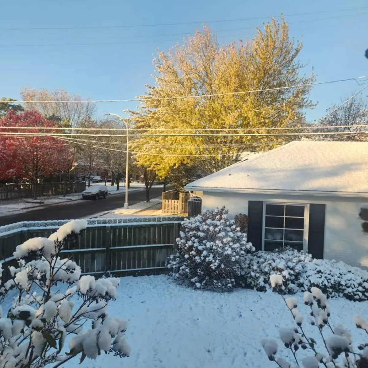 Personalized Cocktail Napkin, Linen Wedding Napkin, Custom Bar Napkin, Custom Fabric Coaster, Emb... | Etsy (US)