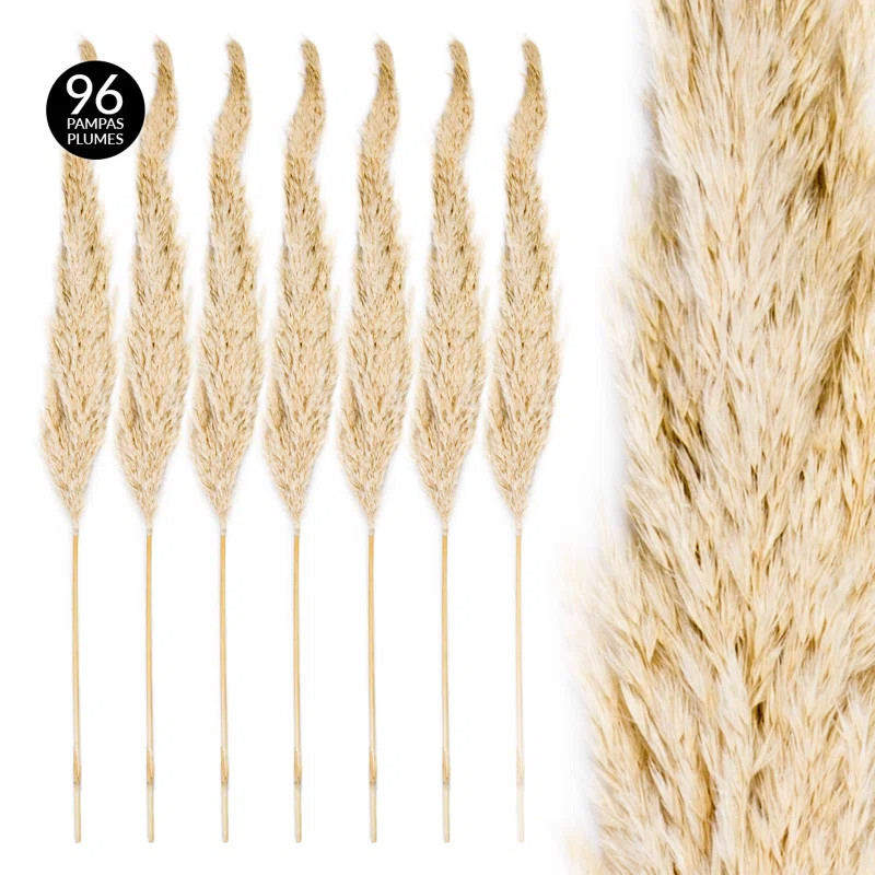 Real Dried Decor Plumes Pampas Grass Spray (Set of 96) | Wayfair North America