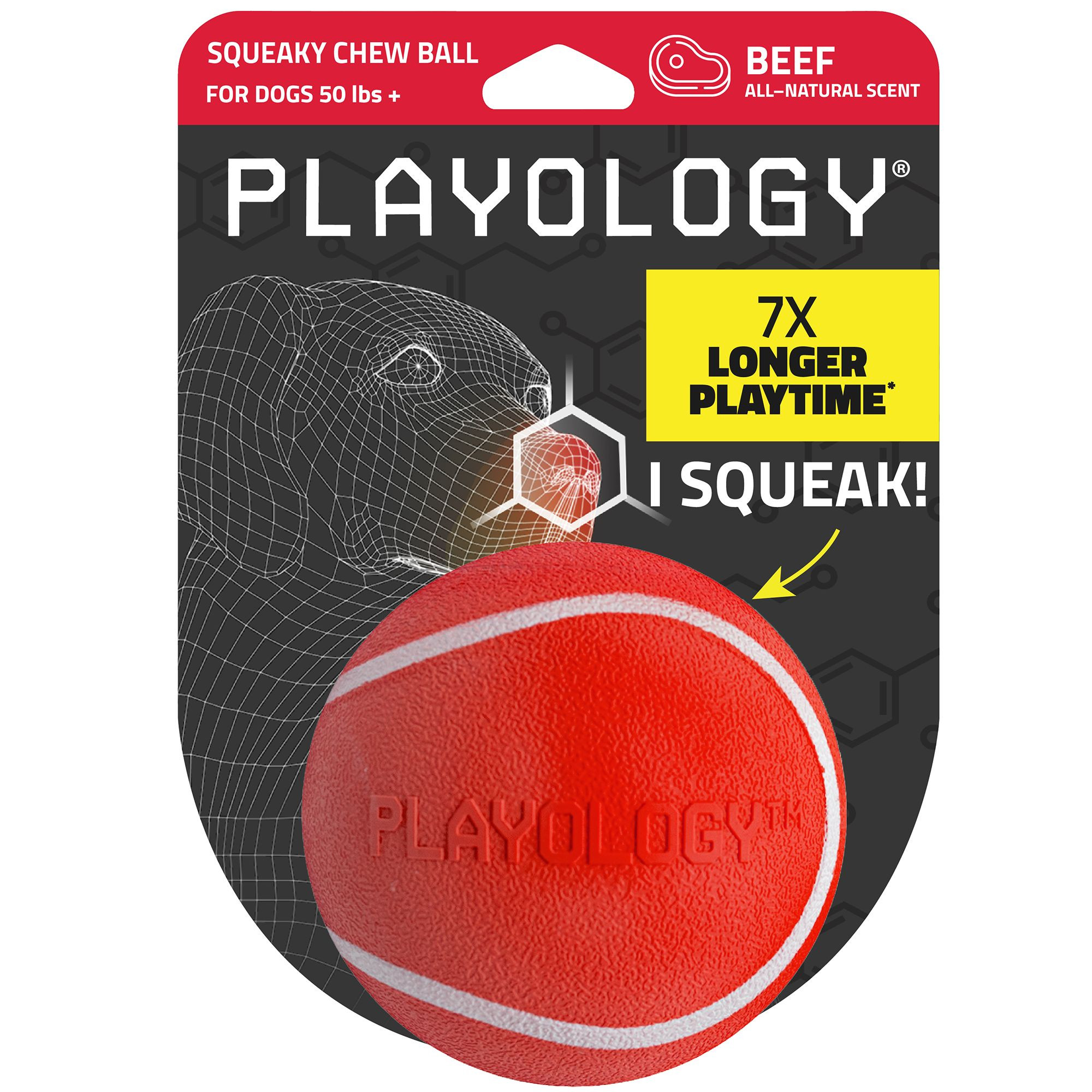 Playology® Squeaky Chew Ball Dog Toy - Beef | PetSmart