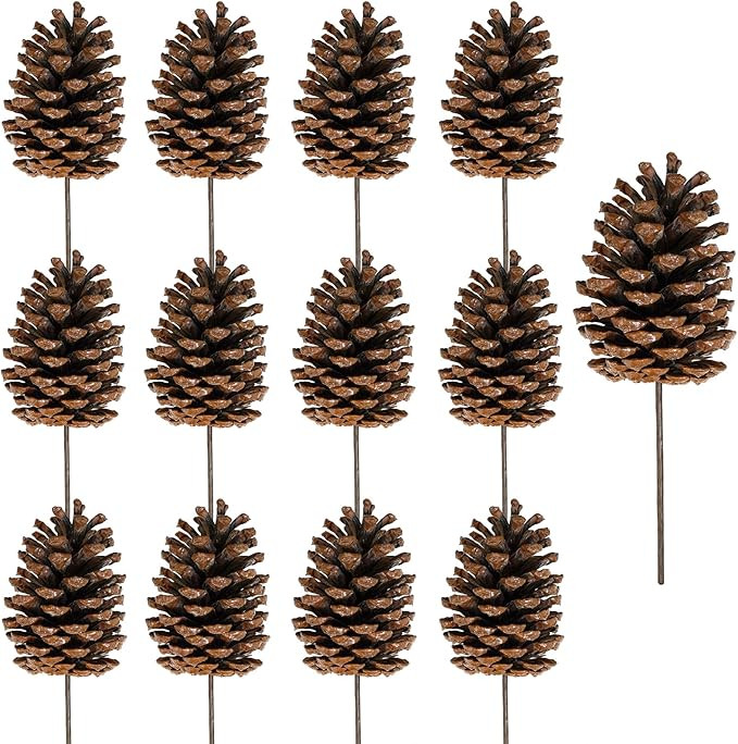 Winlyn 12 Pcs Natural Pine Cone Picks Christmas Pinecone Sprays Medium Pinecones Picks with Wired... | Amazon (US)