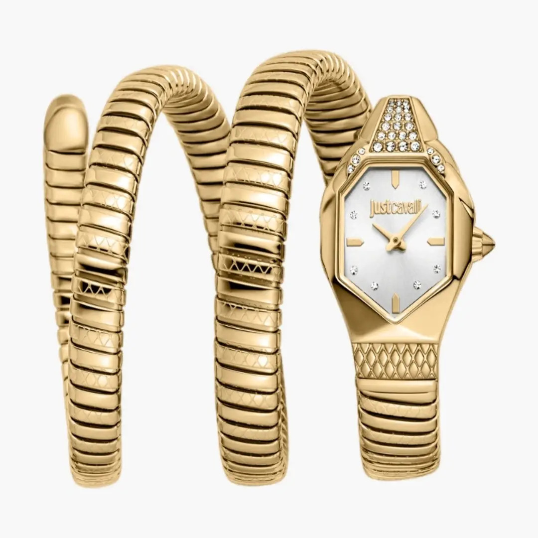 Just Cavalli Color Silver Dial, Gold Color Stainless Steel Watch | Boohoo | Boohoo.com (UK & IE)