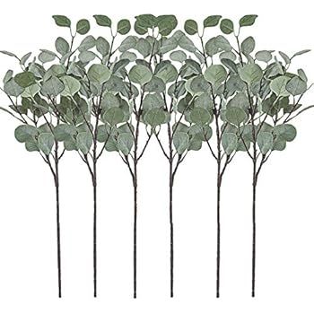 Artificial Greenery Stems 6 Pcs Straight Silver Dollar Eucalyptus Leaf Silk Greenery Bushes Plast... | Amazon (US)