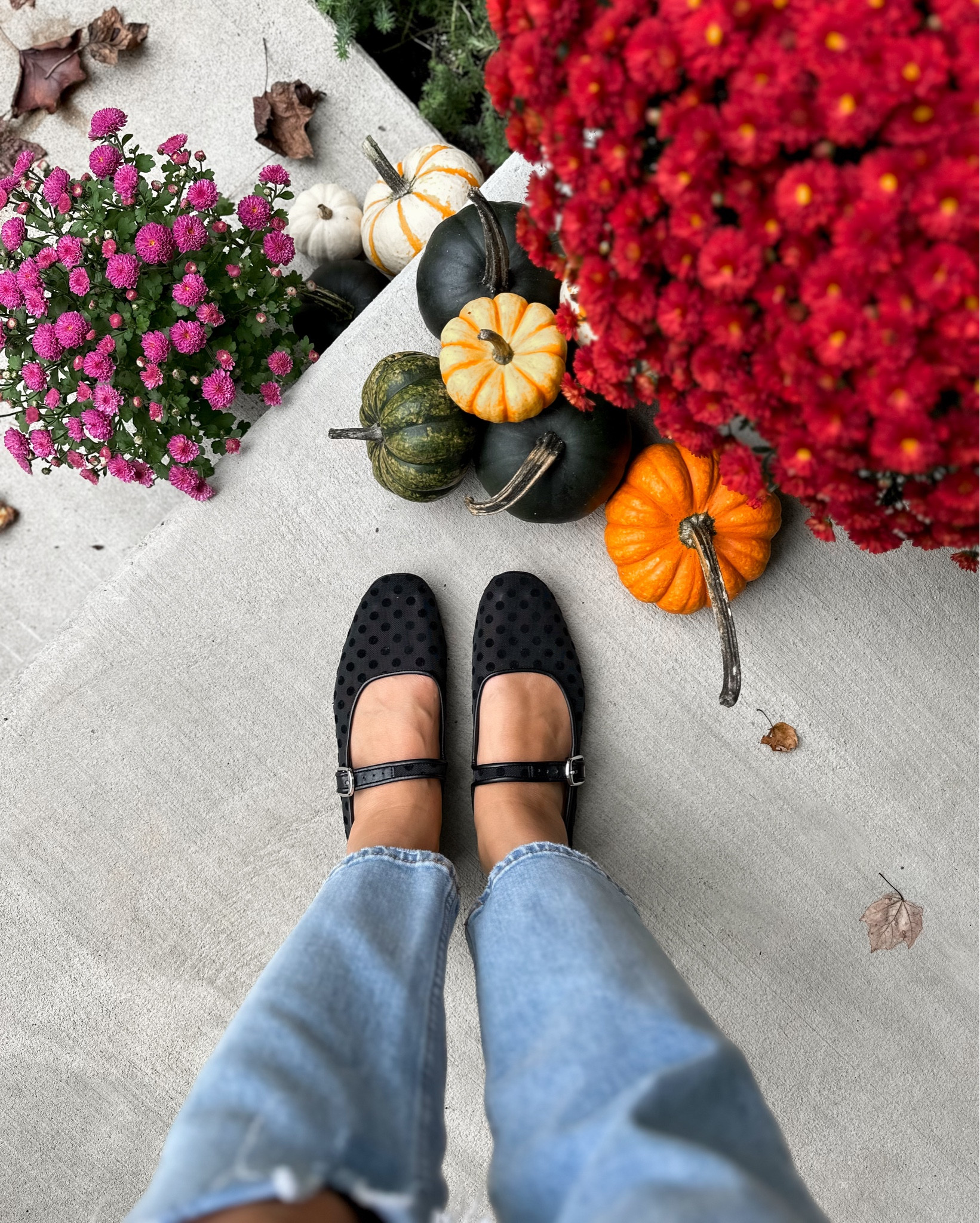 Mesh polkadot ballet flat 🖤 comfortable and runs small, so I sized up to a 9. 

#LTKShoeCrush #LTKTravel #LTKFindsUnder100