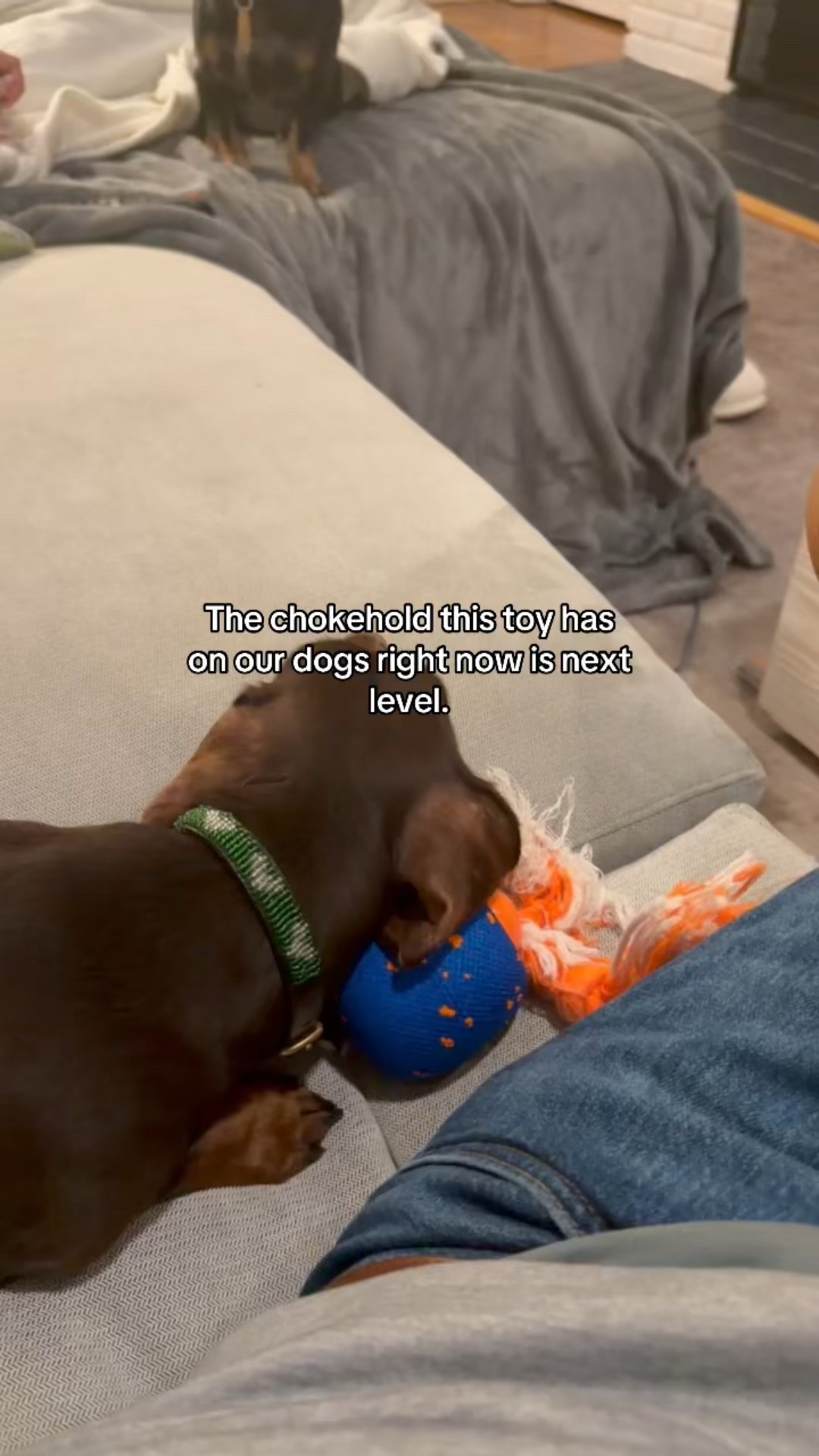 This interactive dog toy has my dogs obsessed! They won’t let it out of their sights! It’s a must buy for any dog parent out there! 

#LTKdayinmylife #LTKHome