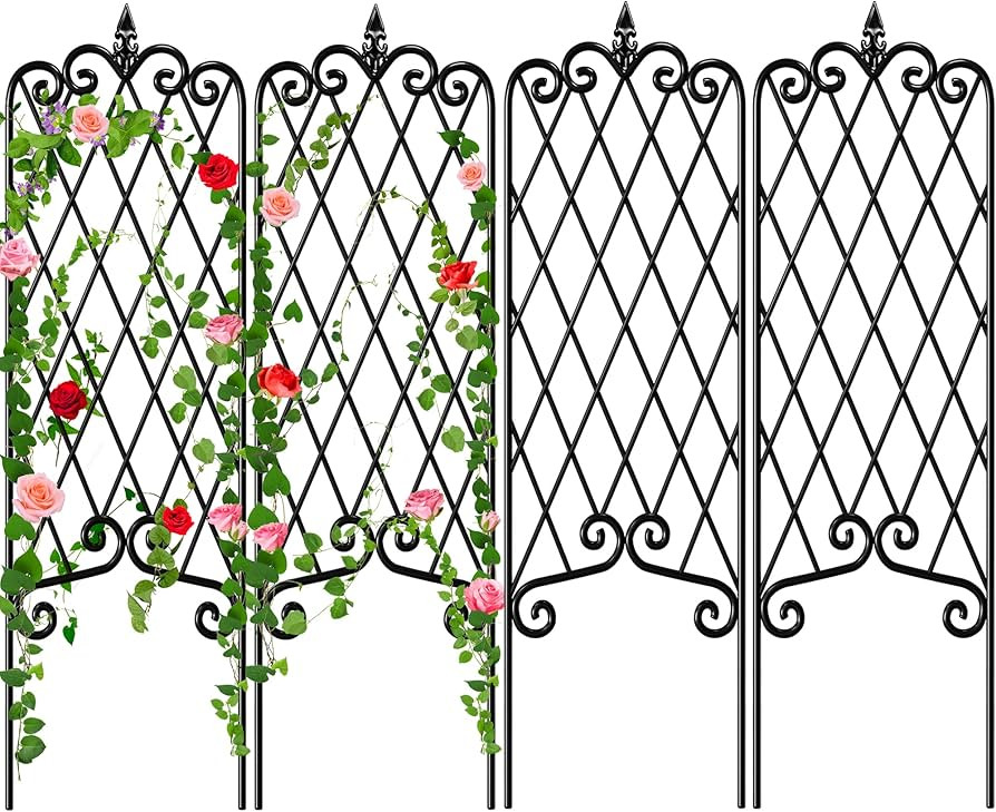 AMAGABELI GARDEN & HOME Garden Trellis 60” x 18” Rustproof Iron Plant Trellis Vegetables Pati... | Amazon (US)