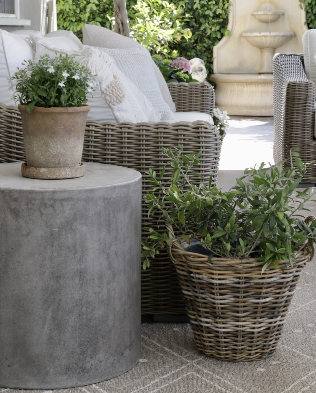 My favorite basket planters are BACK IN STOCK! Love these for imparting that European garden feel!

Home decor, outdoor decor, planters

#LTKSeasonal #LTKHome