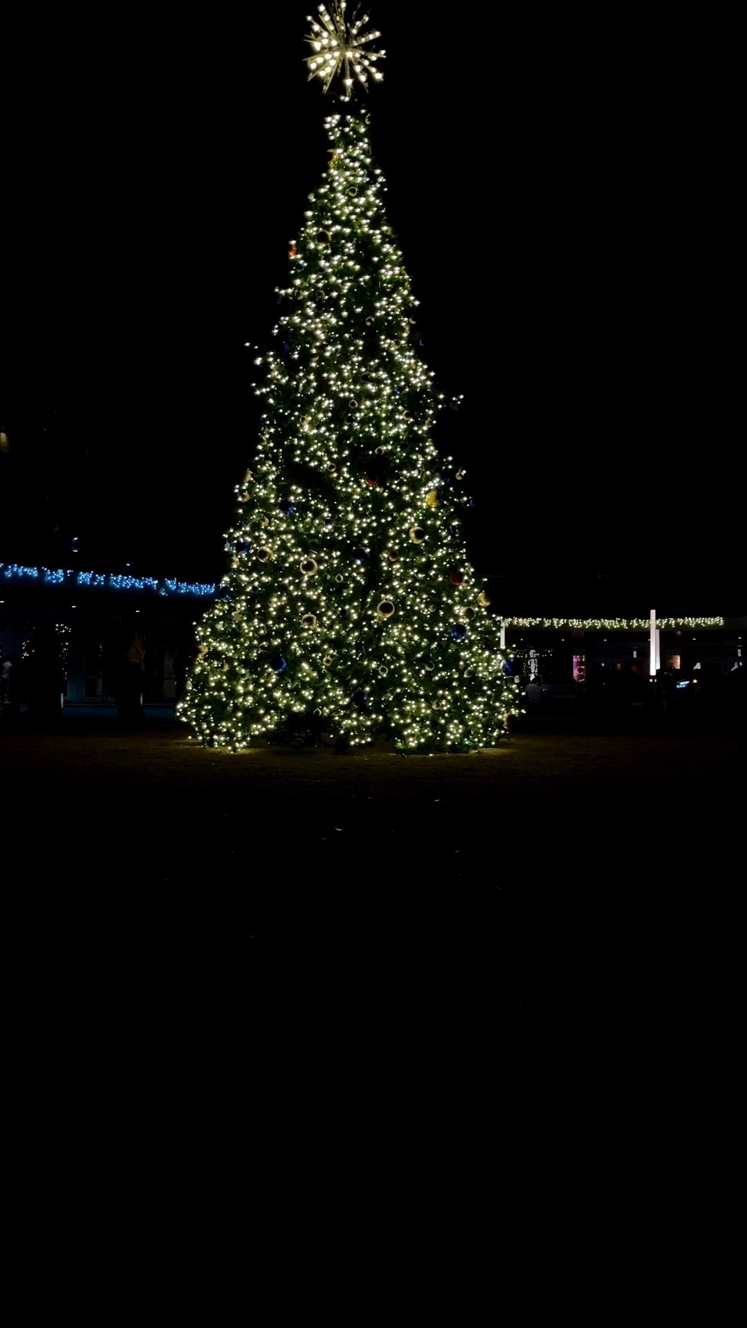 The Nutcracker Ballet. 🩰 

#LTKSeasonal #LTKHoliday #LTKvlog