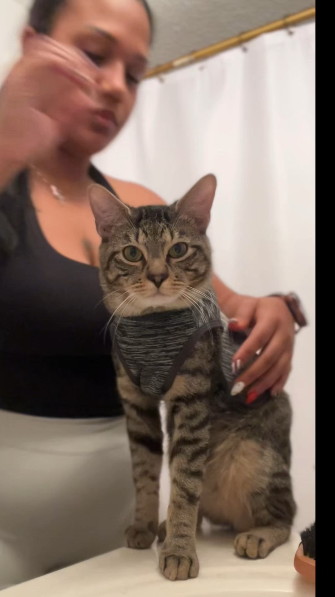 WE CAN FINALLY SLEEP THROUGH THE NIGHT!!! ESCAPE proof vest for the kitties that have zoomies at night!!! THE ONLY thing that works. We tried the flower cone pillow, a t shirt… this WORKS! He sleeps immediately and sleeps through out the night! 1000000000/10 saved our lives. 

#LTKFindsUnder50 #LTKgrwm #LTKHoliday