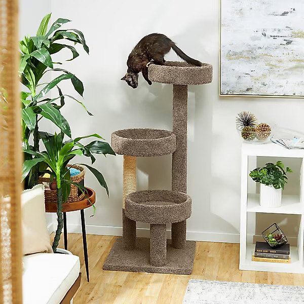 Frisco 50-in Real Carpet Wooden Cat Tree | Chewy.com