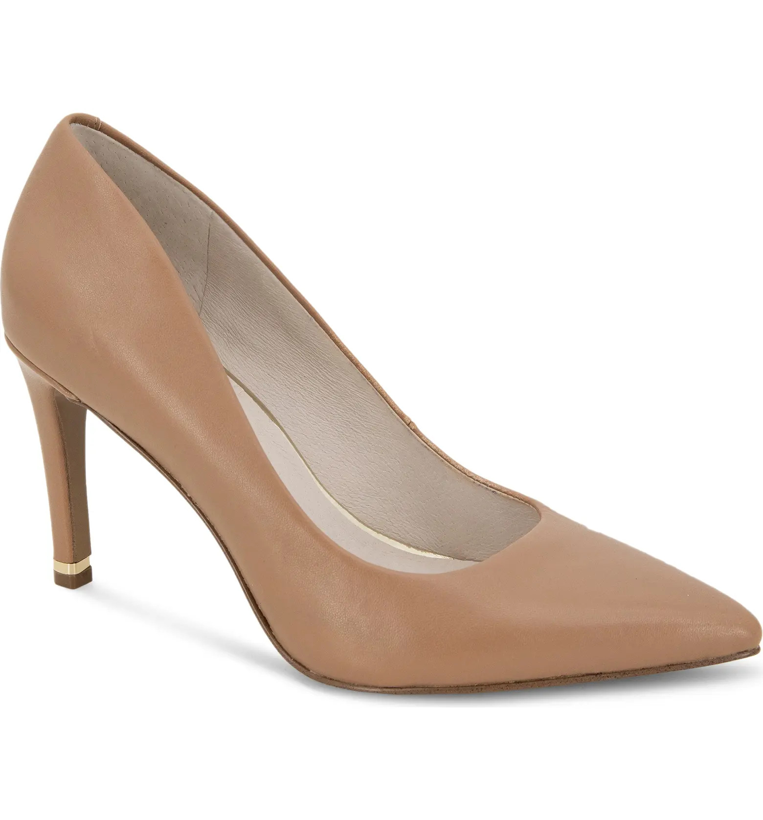 Aundrea Pointed Toe Pump (Women) | Nordstrom