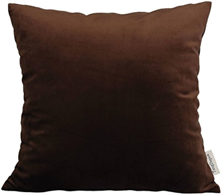TangDepot Solid Velvet Throw Pillow Cover/Euro Sham/Cushion Sham, Super Luxury Soft Pillow Cases,... | Amazon (US)