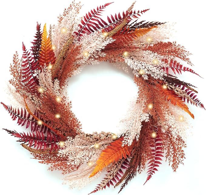 DecorbyHannah Collapsible Fall Wreath, 24'' Pre-Lit Artificial Pampas Grass Wreath for Front Door... | Amazon (US)