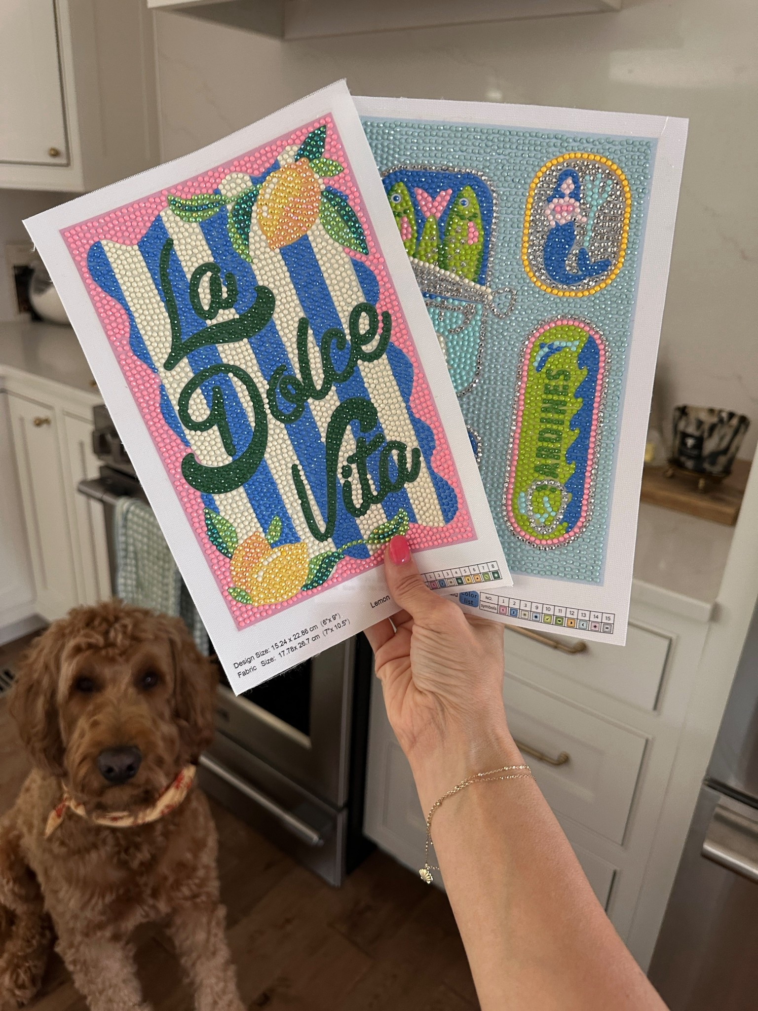 The cutest activity that’s only $15 and is currently BOGO free. Perfect to put back for birthday gifts 

#LTKKids #LTKSummerEdit