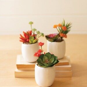 Set Of 3 Artificial Succulent Plants In A White Ceramic Pot | Etsy (US)