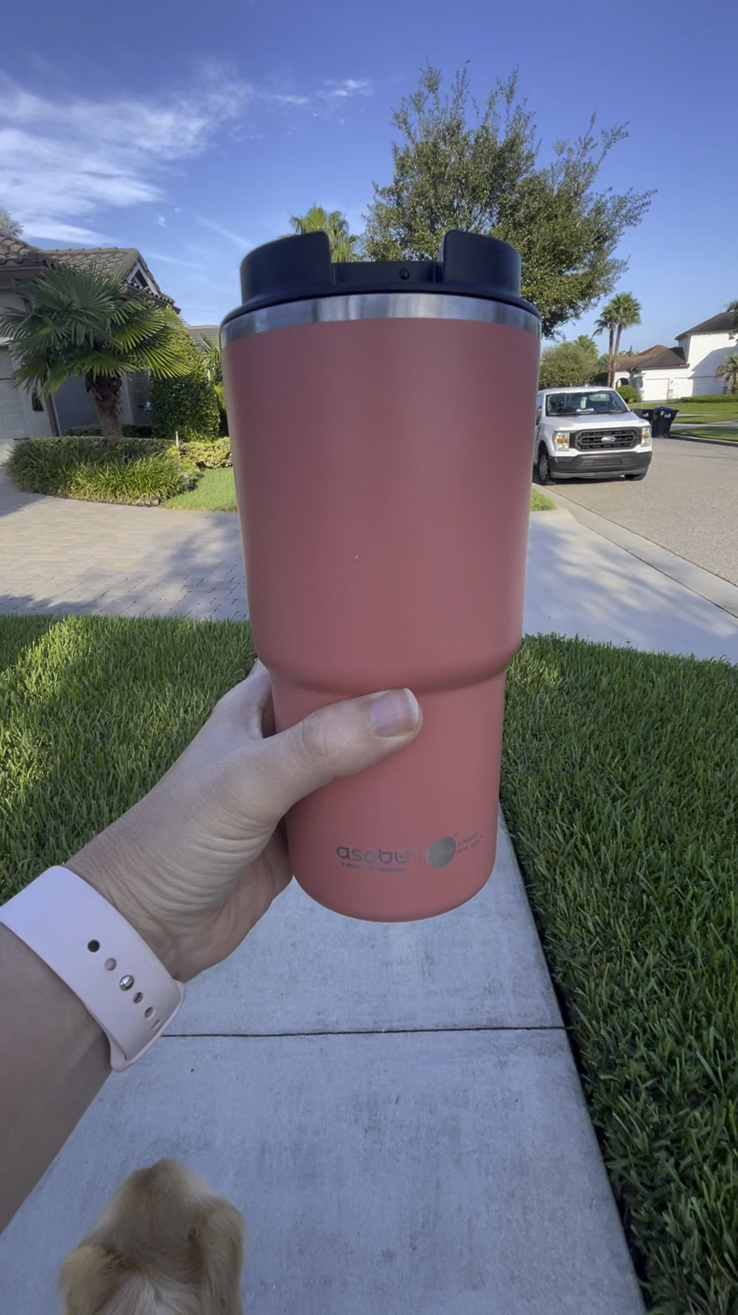 This travel cup is AMAZING and I found it at a lower price than what I got it! 

The two options are linked! 

#LTKFindsUnder50 #LTKSaleAlert #LTKVideo