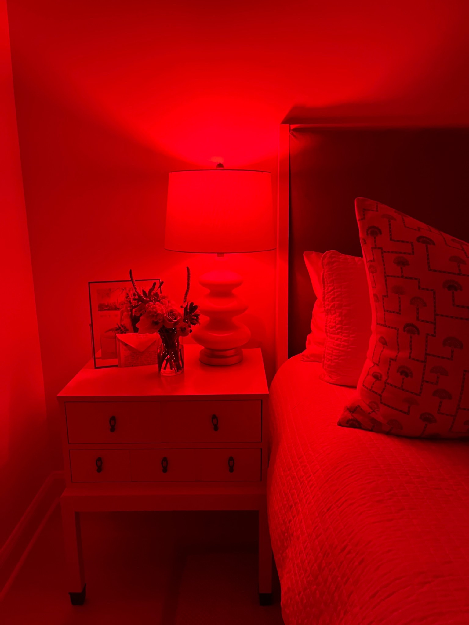 Once it hits 8pm, we only use red light! We’ve noticed such a difference in sleep quality, circadian rhythm, vision, decreased headaches, and so much more! The easiest & most affordable house hack that has truly changed our lives! 

#LTKHome #LTKKids #LTKFamily