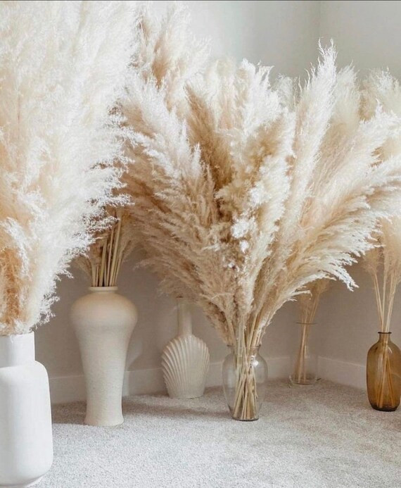 XL Tall 4Ft PAMPAS GRASS Decor Tall - FLuffy Wedding, Engagement, Home Decor - Fluffy Pampas Gras... | Etsy (US)