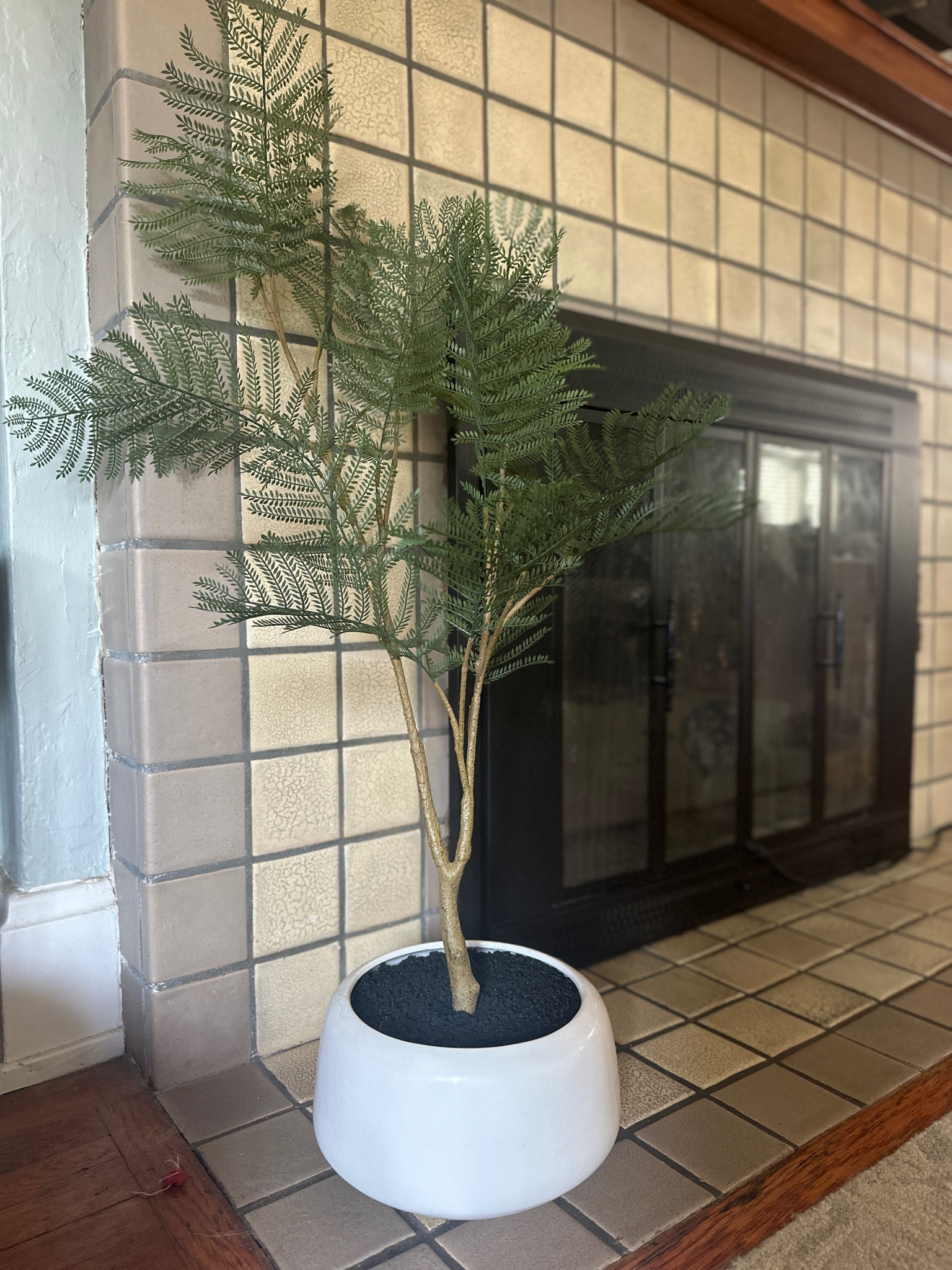 Potted Faux Fern. 
My future husband is who requested we add this to our registry, LOL!

Wedding registry. Wedding gift. Bridal shower gift. House plant. Home decor. Faux plant. 

#LTKHome #LTKWedding