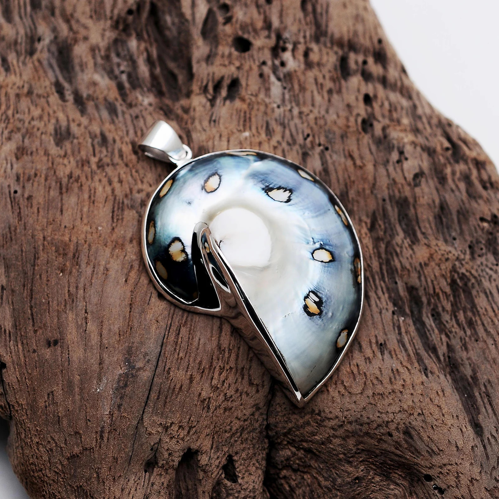 Nautilus Shell With 925 Sterling Silver Pendant - Etsy | Etsy (US)