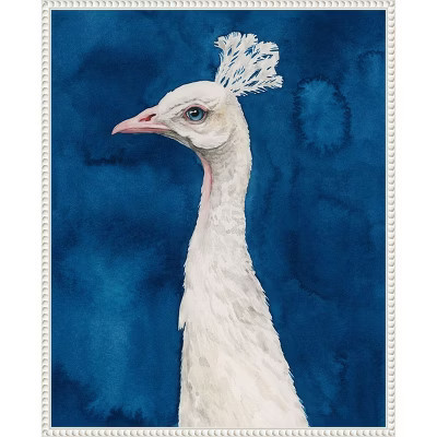 Amanti Art Snowy Peacock II by Grace Popp Canvas Wall Art Print Framed 23-in. W x 28-in. H. | Target