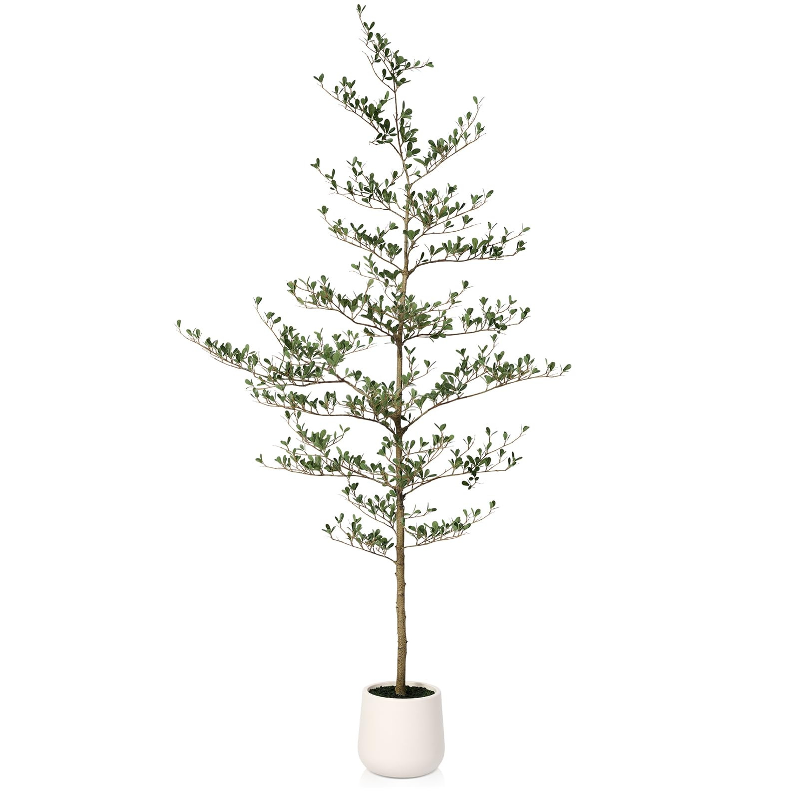 Artificial Black Olive Tree 7FT - Faux Olive Trees with Modern White Planter & Moss for Indoor Ho... | Amazon (US)