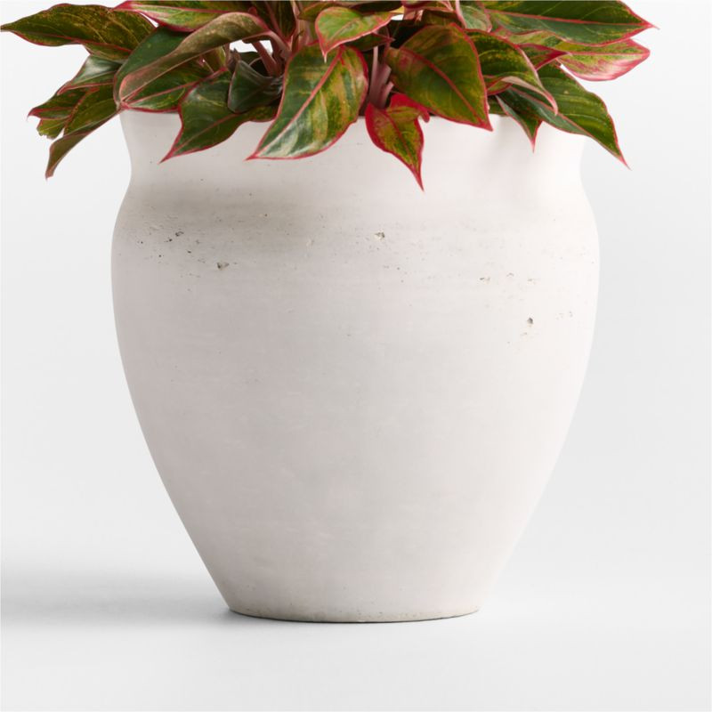 Illara 15.6"" x 15.0"" Ivory Indoor/Outdoor Planter | Crate & Barrel