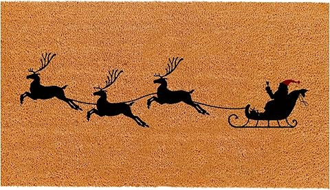 THEODORE MAGNUS Natural Coir Doormat with Non-Slip Backing - 17 x 30 - Outdoor/Indoor - Christmas... | Amazon (US)