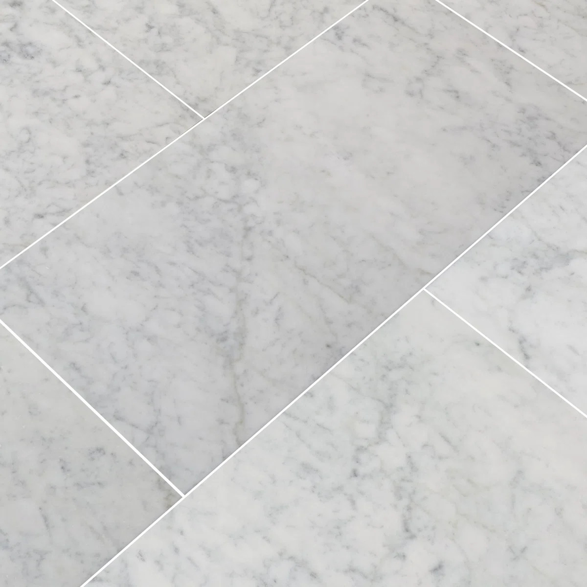Carrara White 12 in. x 24 in. Honed Marble Floor and Wall Tile | Wayfair North America